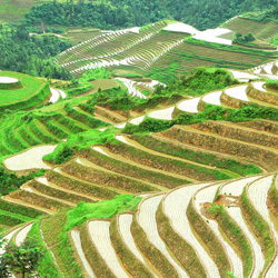Tibet Travels